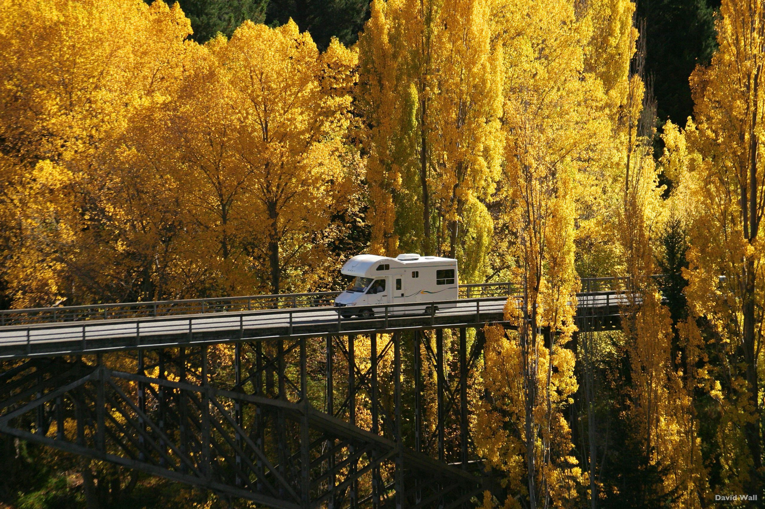 viajes a Nueva Zelanda, viajes a oceania, pacifico tours